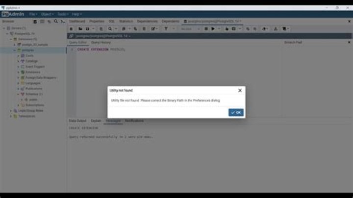 '/Applications/PostgreSQL 16/pg_restore' file not found. Please correct the Binary Path in the Preferences dialog