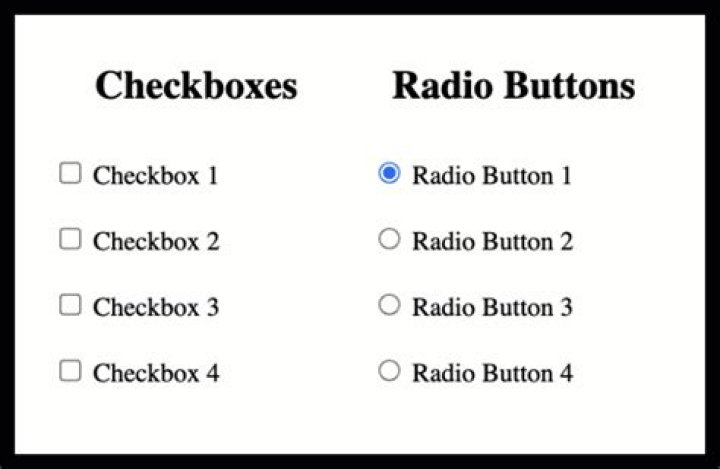 a group of round checkboxes where only one can be selected at a time