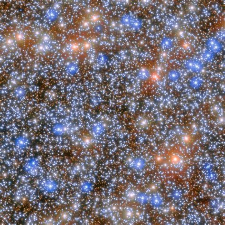 A Real Cluster