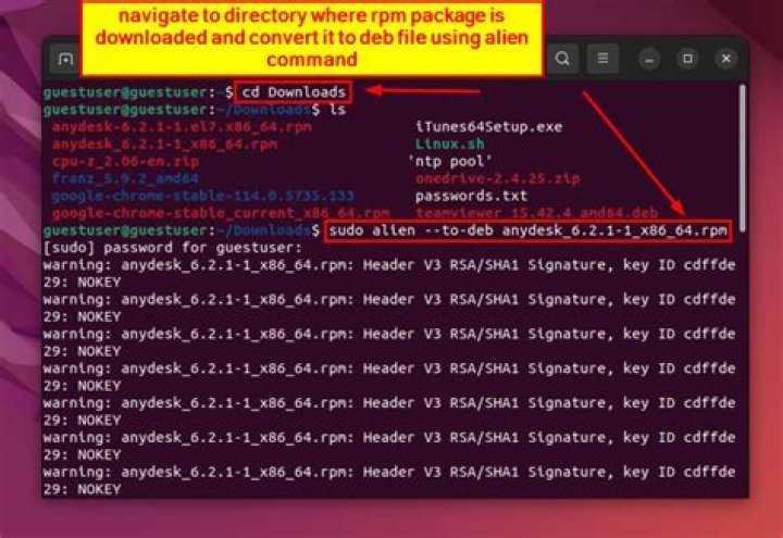 Alien deletes .deb when converting from .rpm