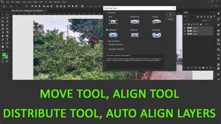 Align and Distribute tool