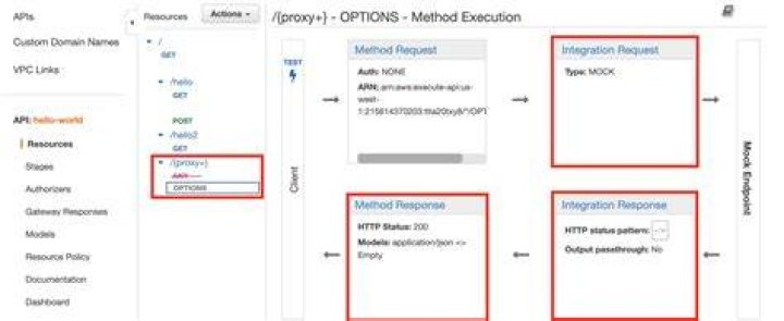 Allow CORS options