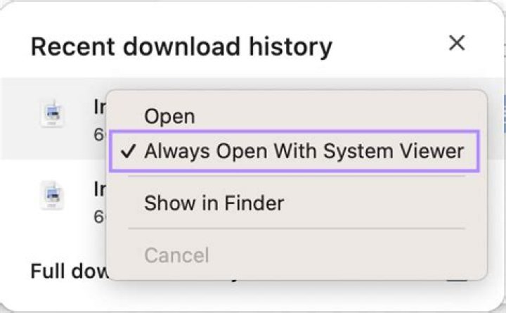 Always open with system viewer