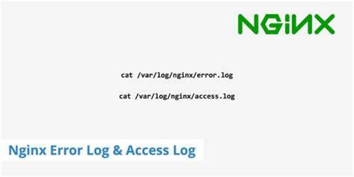 Annoying access problem on /var/log/nginx