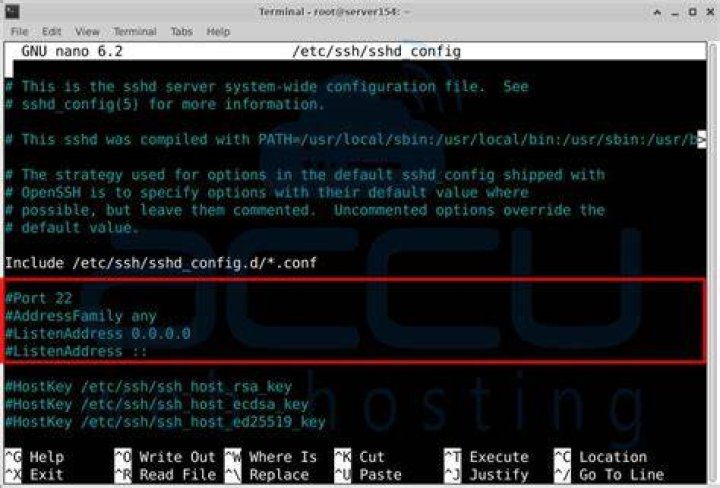 apache2 and sshd are listening, but only sshd is accessible from remote