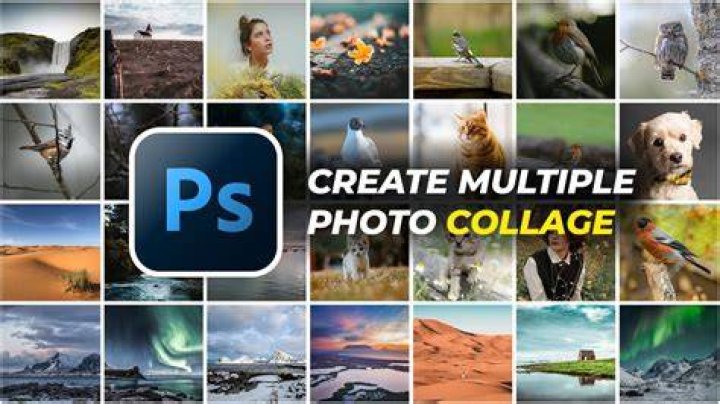 Applications to make photo collages