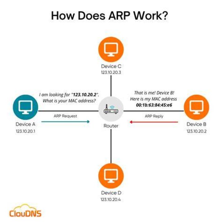 arp