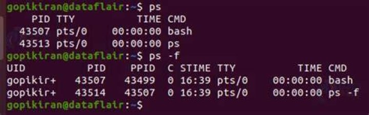 Attaching a process to a terminal in LInux