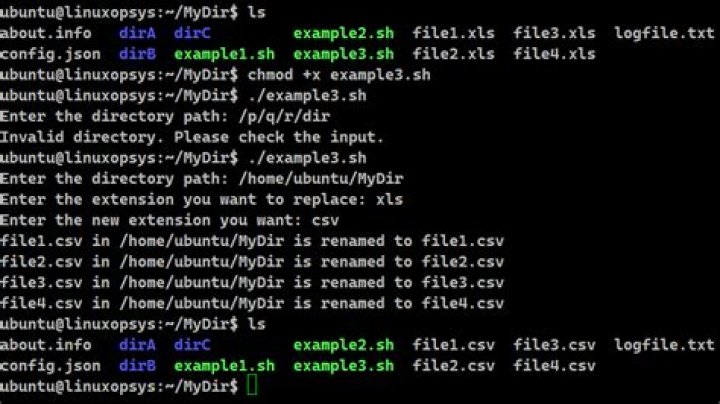bash command for each file in a folder