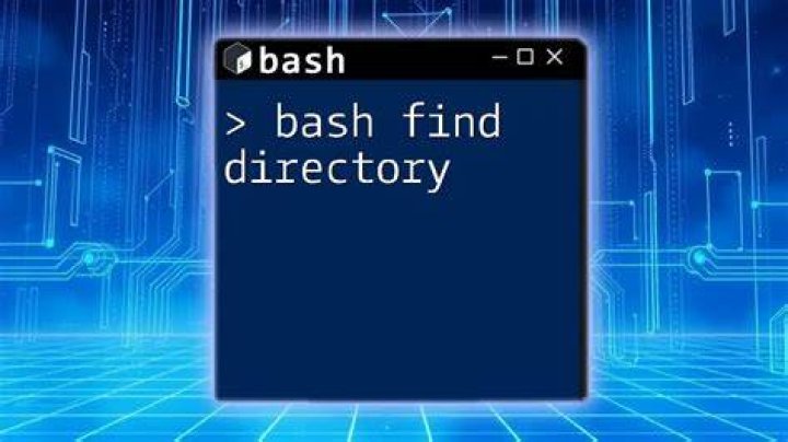 bash find directories