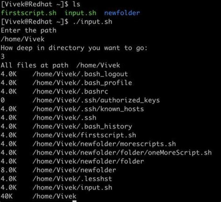 Bash not executing from command line