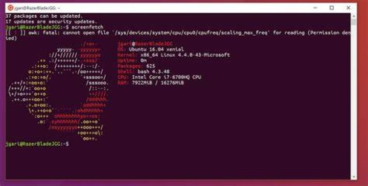 Bash shell (Ubuntu) on the command prompt (Windows 8)