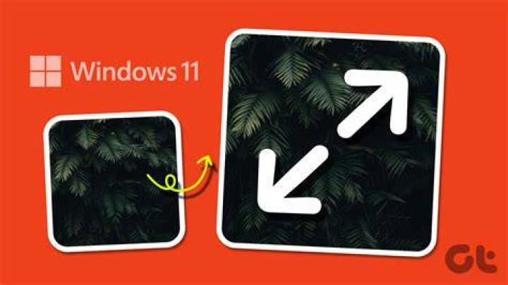 Best way to rate pictures in Windows given that many seem incompatible