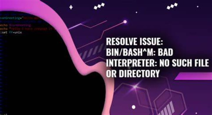 bin/bash: bad interpreter: No such file or directory