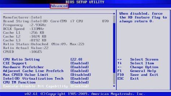 BIOS Advanced tab screen