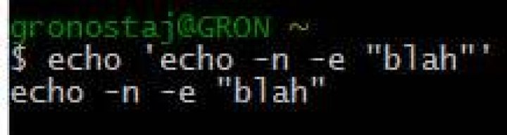 blah command ran in bash