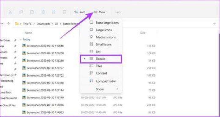 Building a DOS batch script to rename files