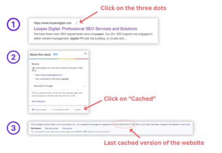 cached version - Google