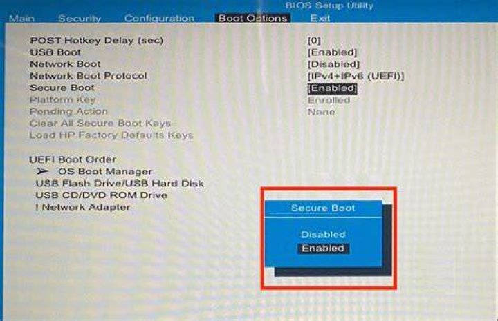 Can't find the option to disable secure boot in BIOS