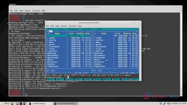 Can't install Midnight Commander [duplicate]