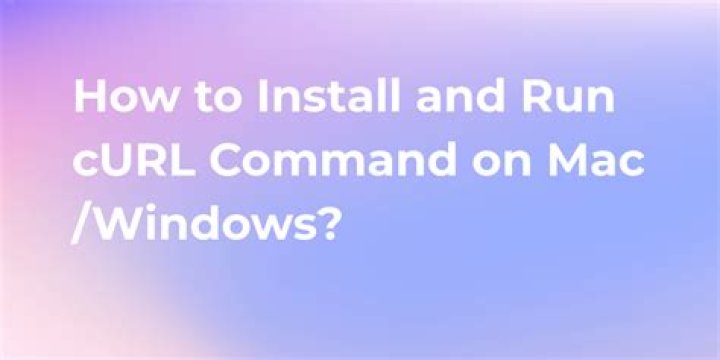 Can't run Curl command inside my Docker Container
