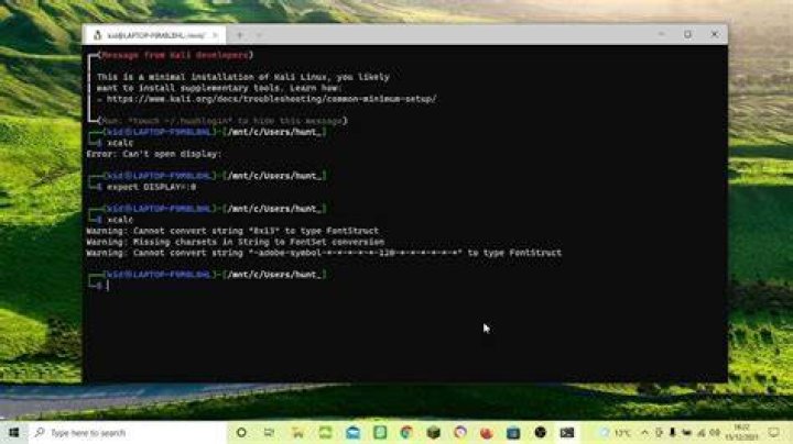 Can't Run GTK on WSL, Display Error