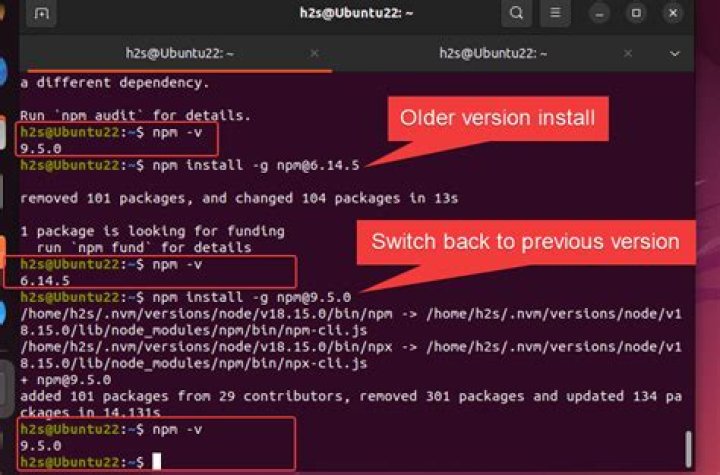 Can't update npm to newest version on Ubuntu