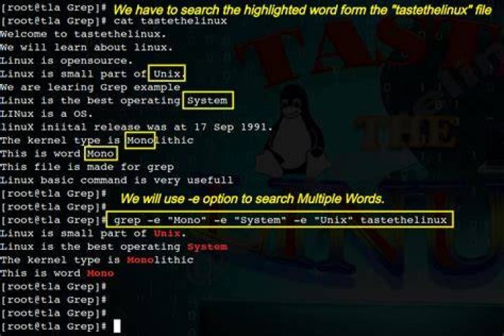 Can i use grep to search words on the content that i already have in terminal [duplicate]