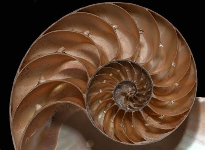 Can Nautilus display a .desktop file by its real name?
