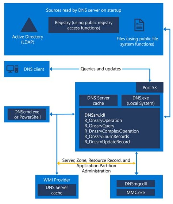Can Windows Server DNS Manager access websites on the internet, or only local records?