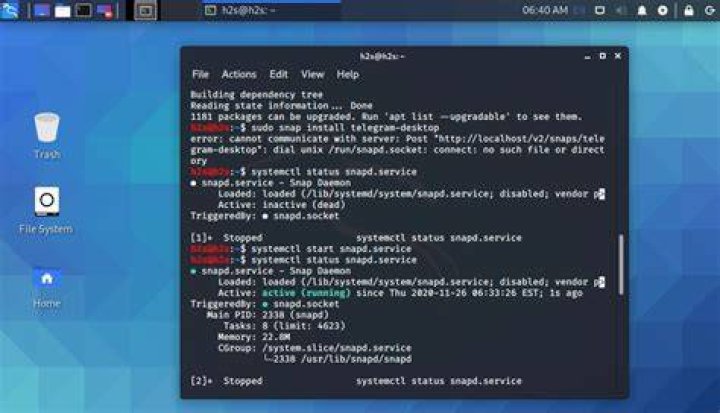Cannot communicate with server: Post http://localhost/v2/apps: dial unix /run/snapd.socket: connect: no such file or directory