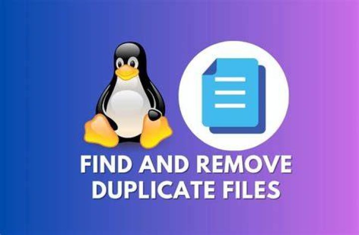 Cant remove files from Windows disk while in Linux [duplicate]