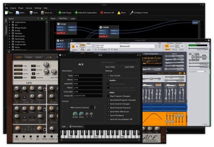 Carla will not see Windows vst plugins