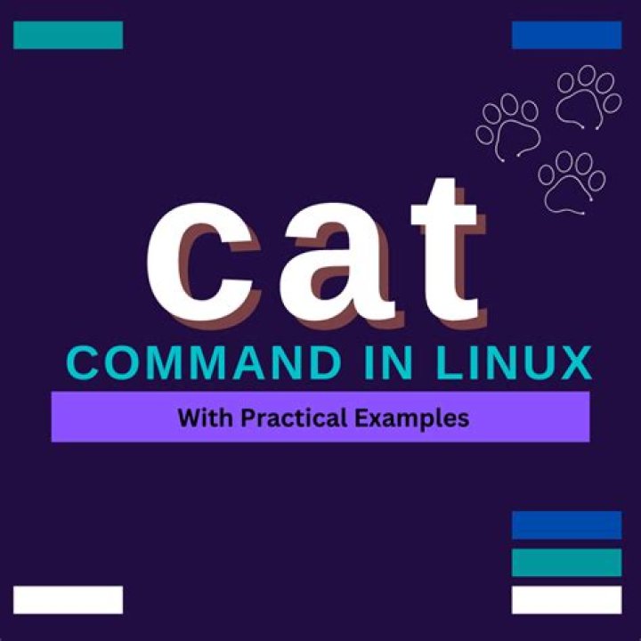 Cat command error message