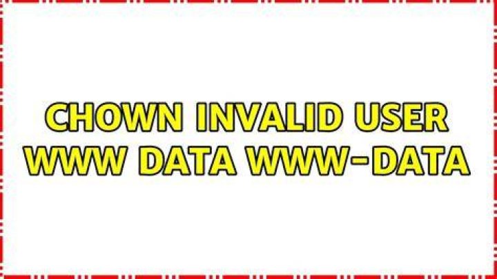 chown: invalid user: ‘www–data:www-data’