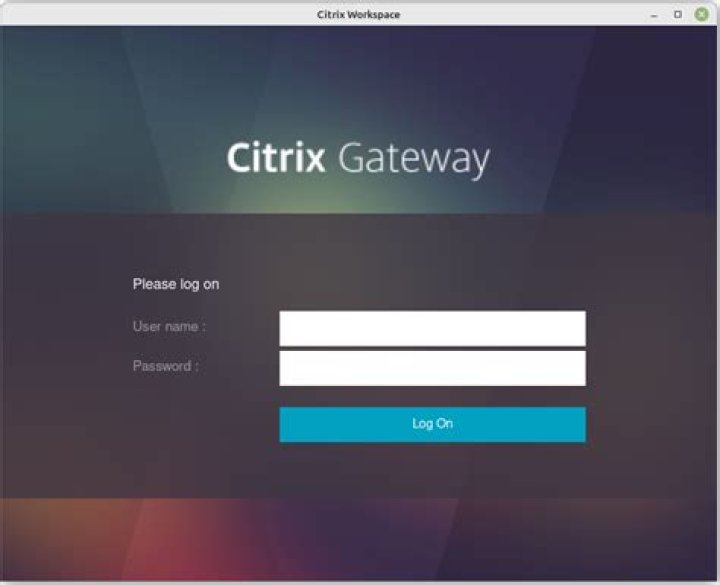 Citrix receiver 13.10 on Ubuntu 18.04.1