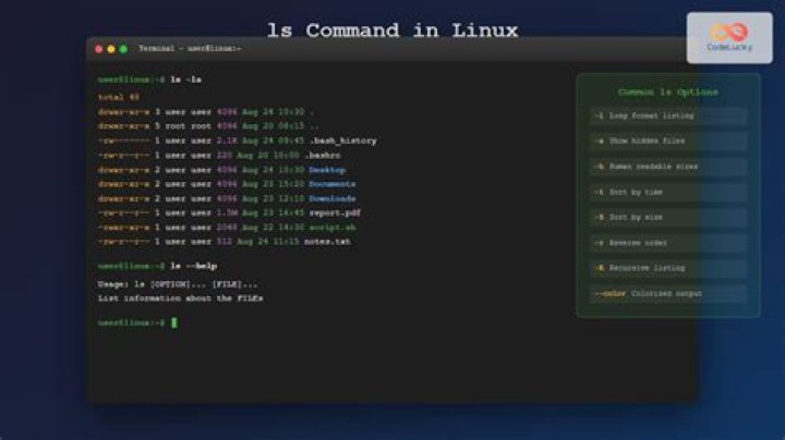 Command 'ls' is available in '/bin/ls'