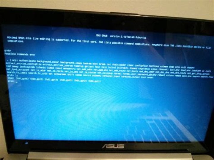 Computer boots automatically into GNU GRUB, no other options
