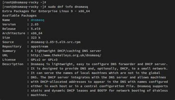 Configure dnsmasq to selectively resolve domains using two DNS providers