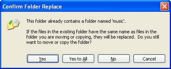 Confirm Folder Replace dialog box