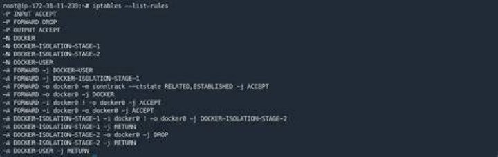 Container namespace isn't visible in ip netns list