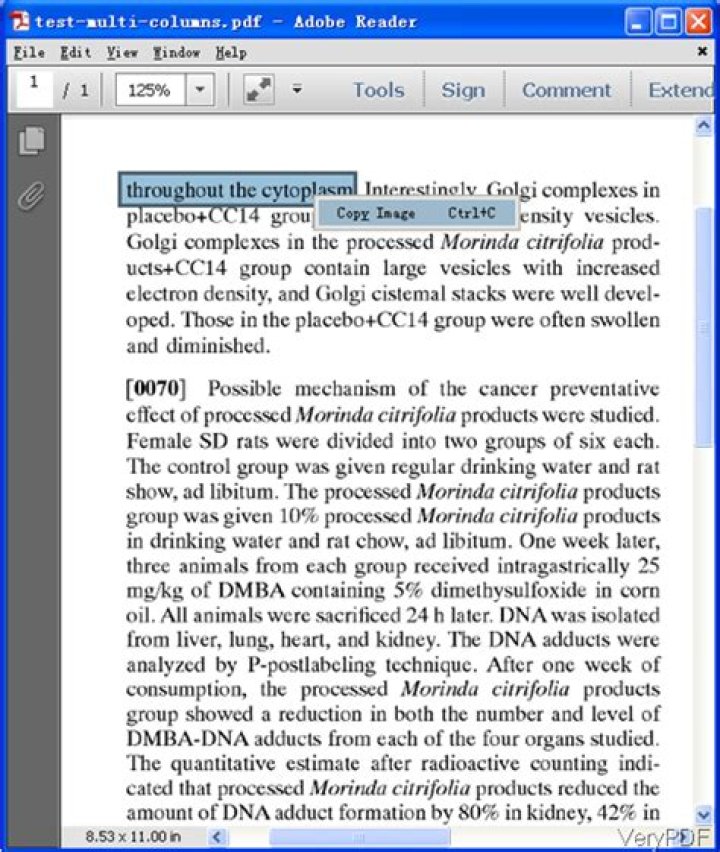 Copy snippits of text as image from pdf