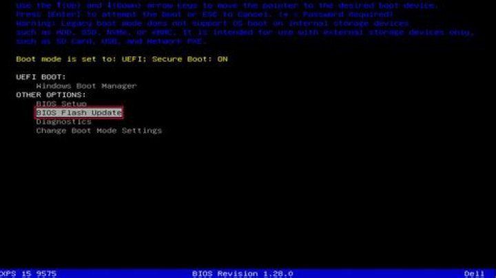 Correct Way to update BIOS in dual boot machine