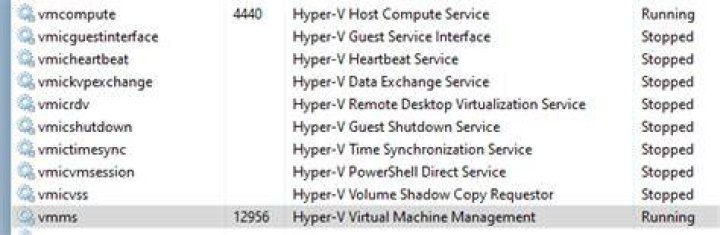 Currently Running Hyper-V Services