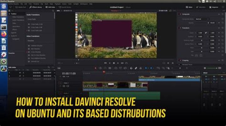 Davinci Resolve Ubuntu 20.04 no access to microphone