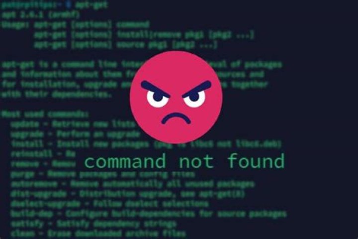 Debain(buster) su not working properly, command not found