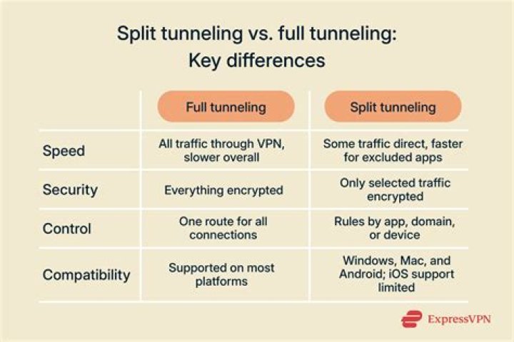 default route through VPN tunnel