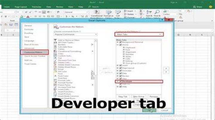 developer tab