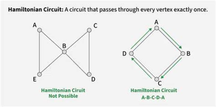 Difference between hamiltonian path and euler path