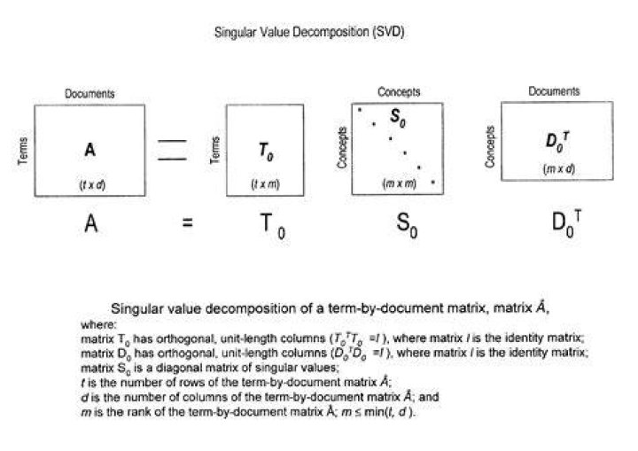 Dimensions of Singular Value Decomposition Matrices